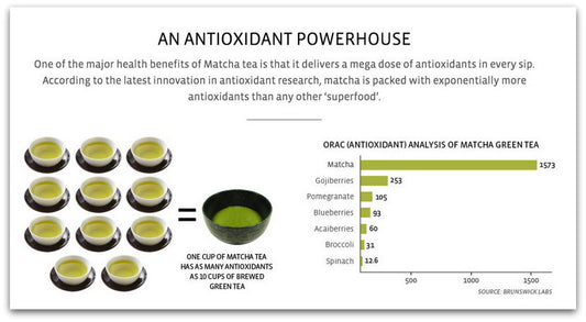 What is Matcha? What are the Matcha Powder Benefits?